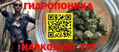 СК Аргун