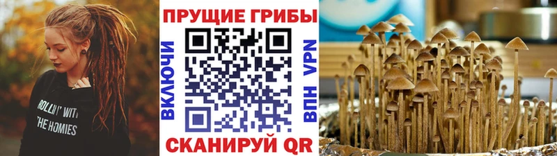 Псилоцибиновые грибы мицелий Кубинка