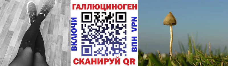 Галлюциногенные грибы MAGIC MUSHROOMS  маркетплейс Telegram  Кубинка  МЕГА  