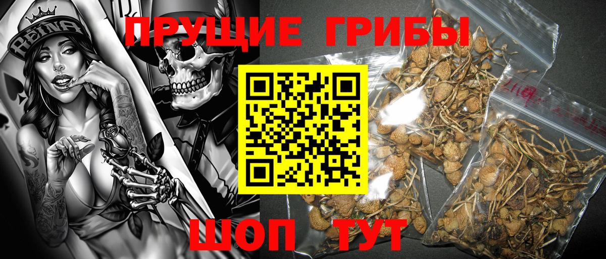 Галлюциногенные грибы прущие грибы  Вход с VPN  Галлюциногенные грибы Psilocybe  Кубинка 