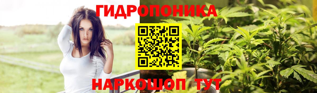 Шишки марихуана сатива Кубинка
